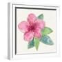 Tropical Fun Flowers III-Harriet Sussman-Framed Art Print