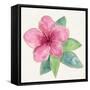 Tropical Fun Flowers III-Harriet Sussman-Framed Stretched Canvas