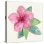 Tropical Fun Flowers III-Harriet Sussman-Stretched Canvas