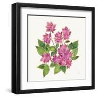 Tropical Fun Flowers IV with Gold-Harriet Sussman-Framed Art Print