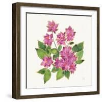 Tropical Fun Flowers IV with Gold-Harriet Sussman-Framed Art Print