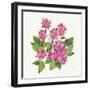 Tropical Fun Flowers IV with Gold-Harriet Sussman-Framed Art Print