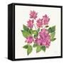 Tropical Fun Flowers IV with Gold-Harriet Sussman-Framed Stretched Canvas