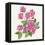 Tropical Fun Flowers IV-Harriet Sussman-Framed Stretched Canvas