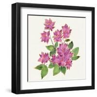 Tropical Fun Flowers IV-Harriet Sussman-Framed Art Print