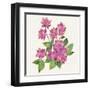 Tropical Fun Flowers IV-Harriet Sussman-Framed Art Print