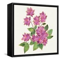 Tropical Fun Flowers IV-Harriet Sussman-Framed Stretched Canvas