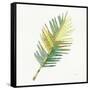 Tropical Fun Palms I-Courtney Prahl-Framed Stretched Canvas