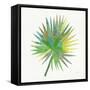 Tropical Fun Palms IIII-Courtney Prahl-Framed Stretched Canvas