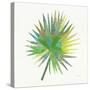 Tropical Fun Palms IIII-Courtney Prahl-Stretched Canvas