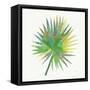 Tropical Fun Palms IIII-Courtney Prahl-Framed Stretched Canvas