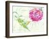 Tropical Garden II-Irina Trzaskos Studio-Framed Giclee Print