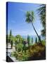 Tropical Gardens, Mainau Island, Lake Constance, Baden-Wurttemberg, Germany, Europe-Ruth Tomlinson-Stretched Canvas