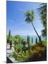 Tropical Gardens, Mainau Island, Lake Constance, Baden-Wurttemberg, Germany, Europe-Ruth Tomlinson-Mounted Photographic Print