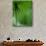 Tropical Grasses, Nadi, Viti Levu-Walter Bibikow-Premium Photographic Print displayed on a wall