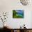 Tropical Green Island and Blue Sea with Coral Reef. View from Top of a Mountain to Apo Reef Natural-Dudarev Mikhail-Photographic Print displayed on a wall