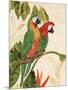 Tropical Green Pair-Colleen Sarah-Mounted Art Print