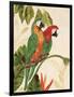 Tropical Green Pair-Colleen Sarah-Framed Art Print