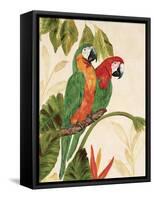 Tropical Green Pair-Colleen Sarah-Framed Stretched Canvas