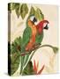 Tropical Green Pair-Colleen Sarah-Stretched Canvas