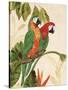 Tropical Green Pair-Colleen Sarah-Stretched Canvas