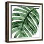 Tropical Green Palm II-Melonie Miller-Framed Art Print