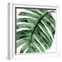 Tropical Green Palm II-Melonie Miller-Framed Art Print