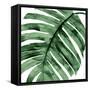 Tropical Green Palm II-Melonie Miller-Framed Stretched Canvas