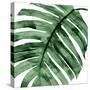 Tropical Green Palm II-Melonie Miller-Stretched Canvas