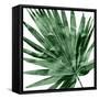 Tropical Green Palm IV-Melonie Miller-Framed Stretched Canvas