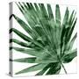 Tropical Green Palm IV-Melonie Miller-Stretched Canvas