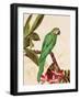 Tropical Green-Colleen Sarah-Framed Art Print