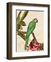 Tropical Green-Colleen Sarah-Framed Art Print