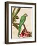 Tropical Green-Colleen Sarah-Framed Art Print