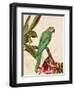 Tropical Green-Colleen Sarah-Framed Art Print