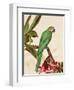 Tropical Green-Colleen Sarah-Framed Art Print