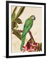 Tropical Green-Colleen Sarah-Framed Art Print