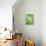 Tropical Greenery-Mary Escobedo-Mounted Art Print displayed on a wall