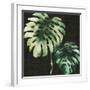 Tropical Growth II-Julie Silver-Framed Giclee Print