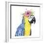 Tropical Halo II-Grace Popp-Framed Art Print