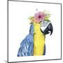 Tropical Halo II-Grace Popp-Mounted Art Print