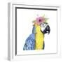 Tropical Halo II-Grace Popp-Framed Art Print