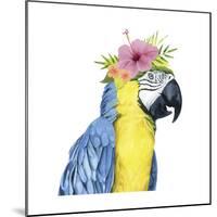 Tropical Halo II-Grace Popp-Mounted Art Print