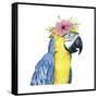 Tropical Halo II-Grace Popp-Framed Stretched Canvas