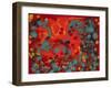 Tropical Haze VI-Hilary Winfield-Framed Giclee Print