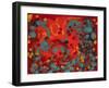 Tropical Haze VI-Hilary Winfield-Framed Giclee Print