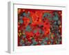 Tropical Haze VI-Hilary Winfield-Framed Giclee Print