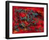 Tropical Haze VII-Hilary Winfield-Framed Giclee Print