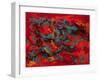 Tropical Haze VII-Hilary Winfield-Framed Giclee Print