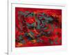 Tropical Haze VII-Hilary Winfield-Framed Giclee Print